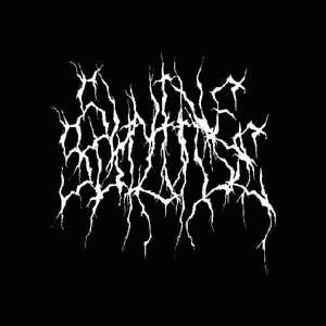 Swine Suicide : Demo